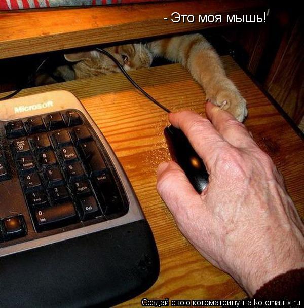- Это моя мышь!... Котоматрица: - Это моя мышь!