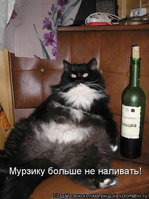 Мурзику больше не наливать!... Котоматрица: Мурзику больше не наливать!
