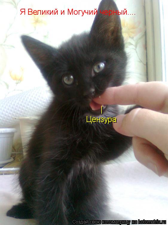 Я Великий и Могучий черный.... | Цензура... Котоматрица: Я Великий и Могучий черный.... | Цензура