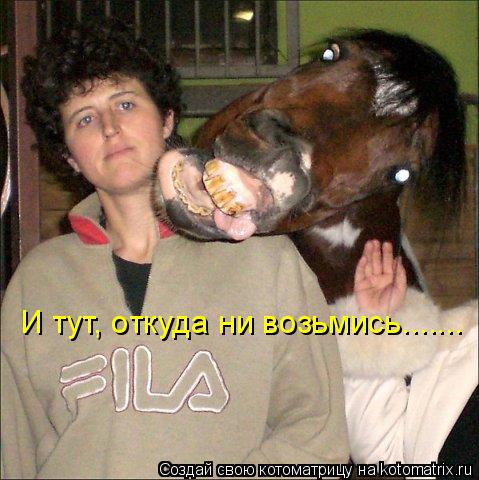 И тут, откуда ни возьмись.......... Котоматрица: И тут, откуда ни возьмись.......