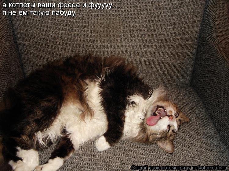 а котлеты ваши фееее и фууууу..... я не ем такую лабуду... Котоматрица: а котлеты ваши фееее и фууууу..... я не ем такую лабуду