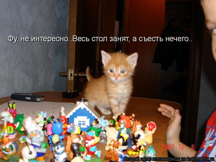 Фу, не интересно..Весь стол занят, а съесть нечего..... Котоматрица: Фу, не интересно..Весь стол занят, а съесть нечего..