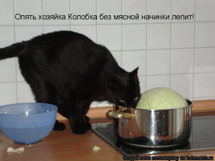 Опять хозяйка Колобка без мясной начинки лепит!... Котоматрица: Опять хозяйка Колобка без мясной начинки лепит!
