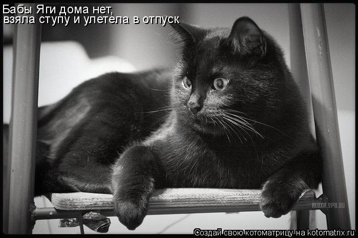 Бабы Яги дома нет, взяла ступу и улетела в отпуск... Котоматрица: Бабы Яги дома нет, взяла ступу и улетела в отпуск