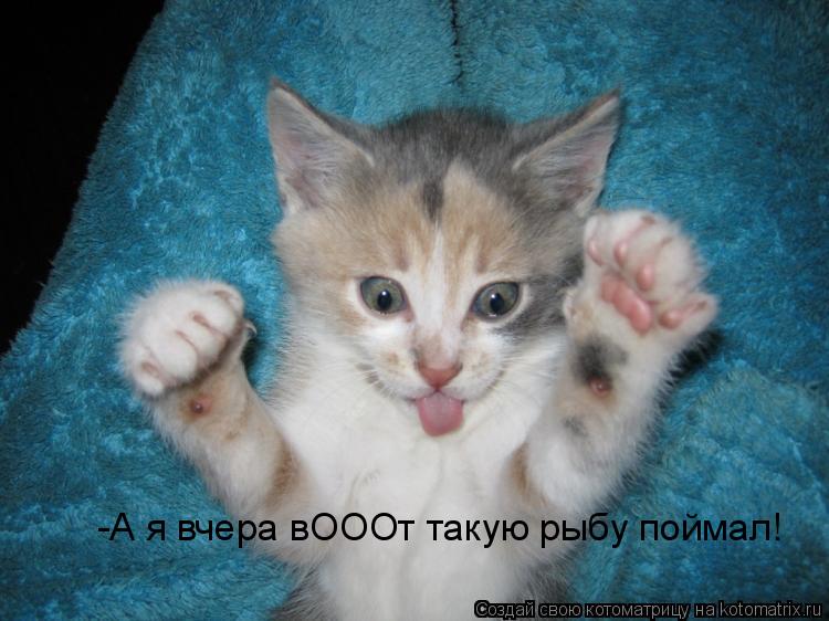 -А я вчера вОООт такую рыбу поймал!... Котоматрица: -А я вчера вОООт такую рыбу поймал!