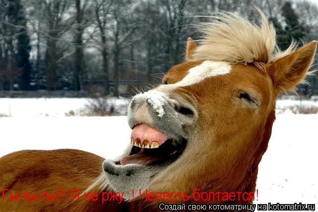 Гы-гы-гы!!! Я не ржу..! Челесть болтается!... Котоматрица: Гы-гы-гы!!! Я не ржу..! Челесть болтается!