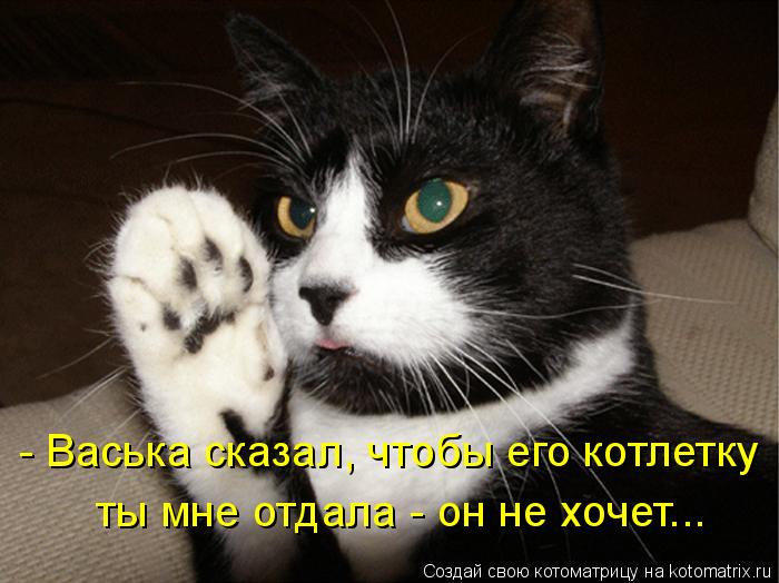- Васька сказал, чтобы его котлетку ты мне отдала - он не хочет...... Котоматрица: - Васька сказал, чтобы его котлетку ты мне отдала - он не хочет...