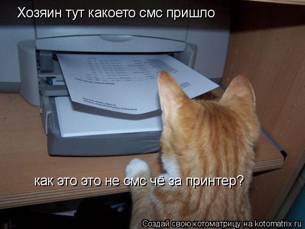 Хозяин тут какоето смс пришло как это это не смс чё за принтер?... Котоматрица: Хозяин тут какоето смс пришло как это это не смс чё за принтер?