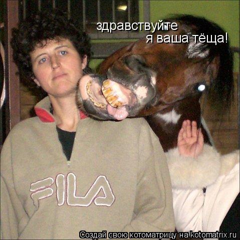 здравствуйте я ваша тёща!... Котоматрица: здравствуйте я ваша тёща!