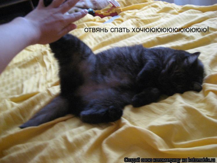 отвянь спать хочююююююююююю!... Котоматрица: отвянь спать хочююююююююююю!