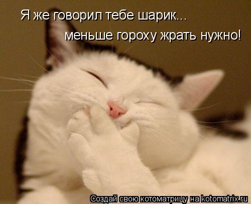 Я же говорил тебе шарик... меньше гороху жрать нужно!... Котоматрица: Я же говорил тебе шарик... меньше гороху жрать нужно!