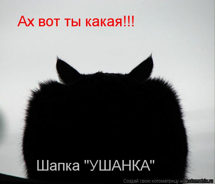 Ах вот ты какая!!! Шапка "УШАНКА"... Котоматрица: Ах вот ты какая!!! Шапка "УШАНКА"
