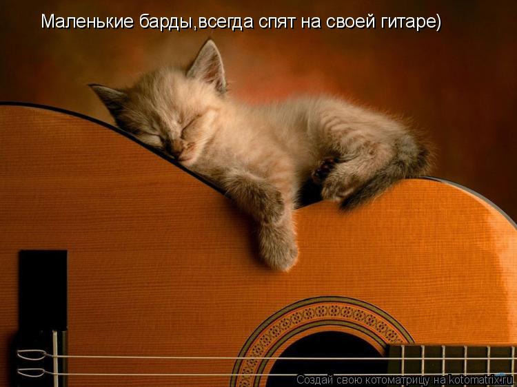Маленькие барды,всегда спят на своей гитаре)... Котоматрица: Маленькие барды,всегда спят на своей гитаре)