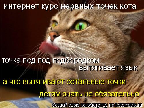 интернет курс нервных точек кота точка под под подбородком вытягивает язык а что вытягивают остальные... Котоматрица: интернет курс нервных точек кота точка под под подбородком вытягивает язык а что вытягивают остальные точки детям знать не обязательно