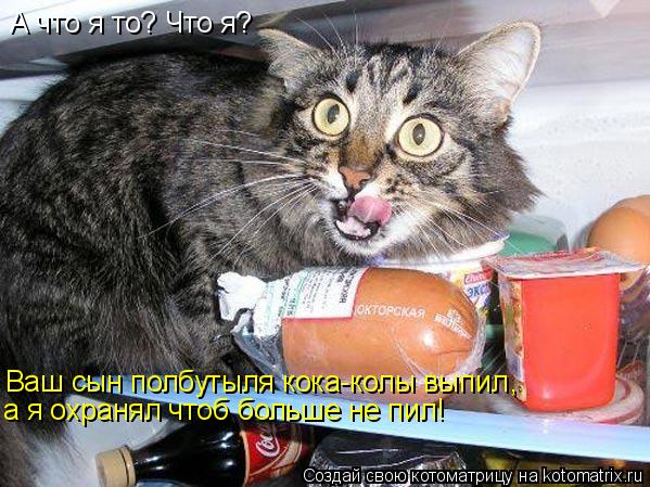 А что я то? Что я? Ваш сын полбутыля кока-колы выпил , а я охранял чтоб больше не пил!... Котоматрица: А что я то? Что я? Ваш сын полбутыля кока-колы выпил , а я охранял чтоб больше не пил!