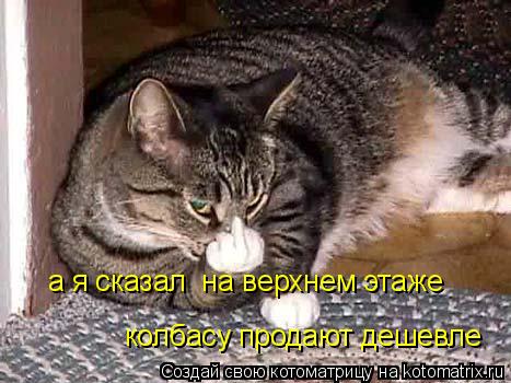 а я сказал на верхнем этаже колбасу продают дешевле... Котоматрица: а я сказал на верхнем этаже колбасу продают дешевле