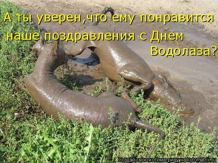 А ты уверен,что ему понравится наше поздравления с Днем Водолаза?!... Котоматрица: А ты уверен,что ему понравится наше поздравления с Днем Водолаза?!