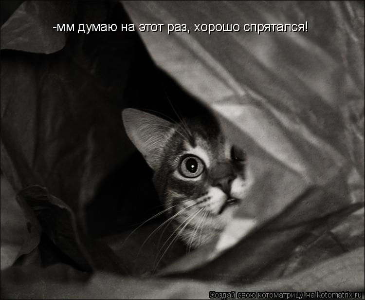 -мм думаю на этот раз, хорошо спрятался!... Котоматрица: -мм думаю на этот раз, хорошо спрятался!