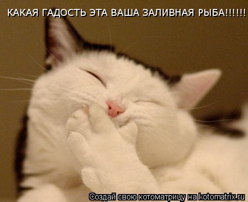 КАКАЯ ГАДОСТЬ ЭТА ВАША ЗАЛИВНАЯ РЫБА!!!!!!!!!... Котоматрица: КАКАЯ ГАДОСТЬ ЭТА ВАША ЗАЛИВНАЯ РЫБА!!!!!!!!!