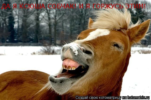 ДА Я КСЮША СОБЧАК! И Я ГОРЖУСЬ ЭТИМ!... Котоматрица: ДА Я КСЮША СОБЧАК! И Я ГОРЖУСЬ ЭТИМ!