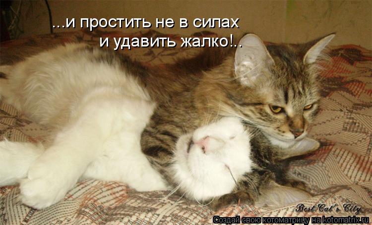 ...и простить не в силах и удавить жалко!..... Котоматрица: ...и простить не в силах и удавить жалко!..