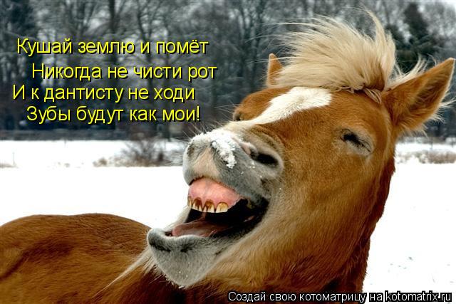 Кушай землю и помёт Никогда не чисти рот И к дантисту не ходи Зубы будут как мои!... Котоматрица: Кушай землю и помёт Никогда не чисти рот И к дантисту не ходи Зубы будут как мои!