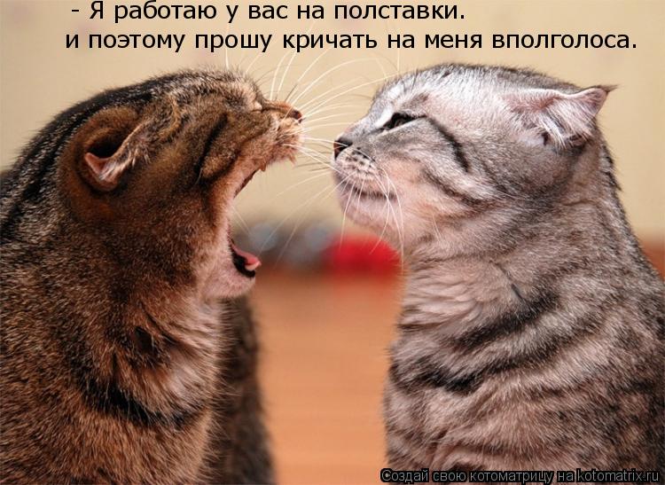 - Я работаю у вас на полставки… и поэтому прошу кричать на меня вполголоса.... Котоматрица: - Я работаю у вас на полставки… и поэтому прошу кричать на меня вполголоса.