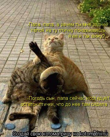 -Папа, папа, а зачем ты мне задней лапой на ту птичку показываешь, я ее и так вижу? -Погодь сын, па... Котоматрица: -Папа, папа, а зачем ты мне задней лапой на ту птичку показываешь, я ее и так вижу? -Погодь сын, папа сейчас исследует остаток птички, что до н