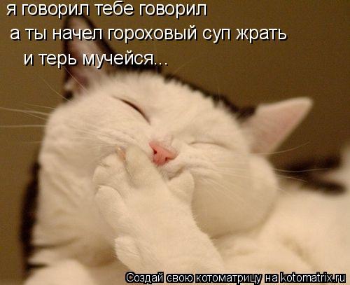я говорил тебе говорил а ты начел гороховый суп жрать и терь мучейся...... Котоматрица: я говорил тебе говорил а ты начел гороховый суп жрать и терь мучейся...