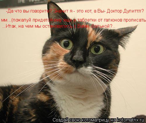-Да что вы говорите? Значит я - это кот, а Вы- Доктор Дулиттл? мм...(пожалуй придется ему еще и табл... Котоматрица: -Да что вы говорите? Значит я - это кот, а Вы- Доктор Дулиттл? мм...(пожалуй придется ему еще и таблетки от галюнов прописать)... ...Итак, на чем мы