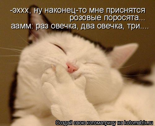 -эххх, ну наконец-то мне приснятся розовые поросята... аамм: раз овечка, два овечка, три....... Котоматрица: -эххх, ну наконец-то мне приснятся розовые поросята... аамм: раз овечка, два овечка, три....