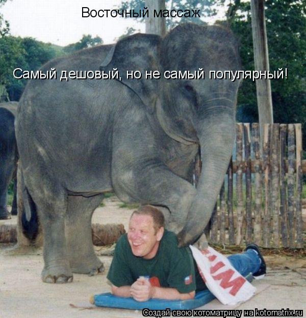 Восточный массаж Самый дешовый, но не самый популярный!... Котоматрица: Восточный массаж Самый дешовый, но не самый популярный!