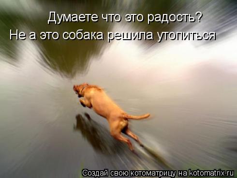 Думаете что это радость? Не а это собака решила утопиться... Котоматрица: Думаете что это радость? Не а это собака решила утопиться
