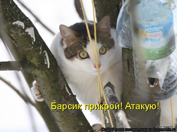 Барсик прикрой! Атакую!... Котоматрица: Барсик прикрой! Атакую!