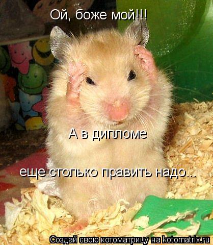 Ой, боже мой!!! А в дипломе А в дипломе еще столько править надо...... Котоматрица: Ой, боже мой!!! А в дипломе А в дипломе еще столько править надо...