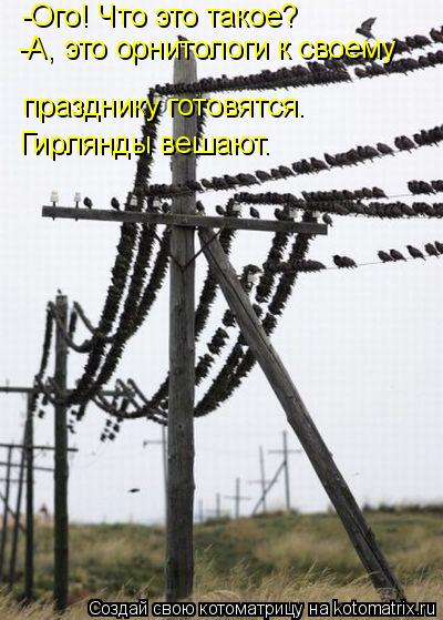 -Ого! Что это такое? -А, это орнитологи к своему празднику готовятся. Гирлянды вешают.... Котоматрица: -Ого! Что это такое? -А, это орнитологи к своему празднику готовятся. Гирлянды вешают.