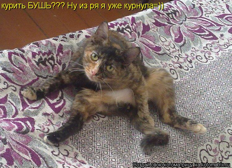 курить БУШЬ??? Ну из ря я уже курнула=))... Котоматрица: курить БУШЬ??? Ну из ря я уже курнула=))