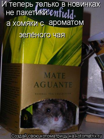 И теперь только в новинках не пакетики а хомяки с ароматом зелёного чая... Котоматрица: И теперь только в новинках не пакетики а хомяки с ароматом зелёного чая