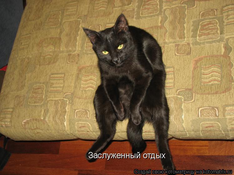 Заслуженный отдых... Котоматрица: Заслуженный отдых