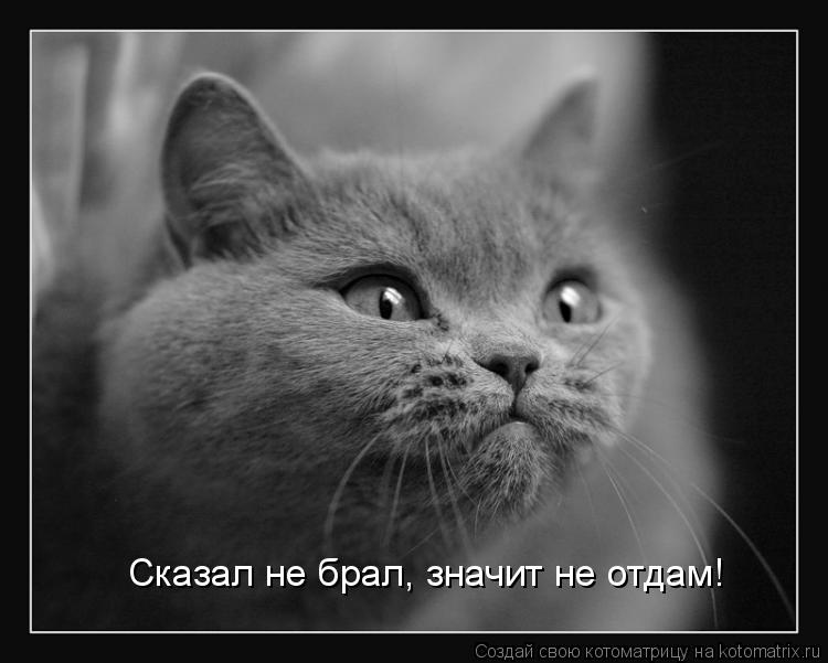 Сказал не брал, значит не отдам!... Котоматрица: Сказал не брал, значит не отдам!