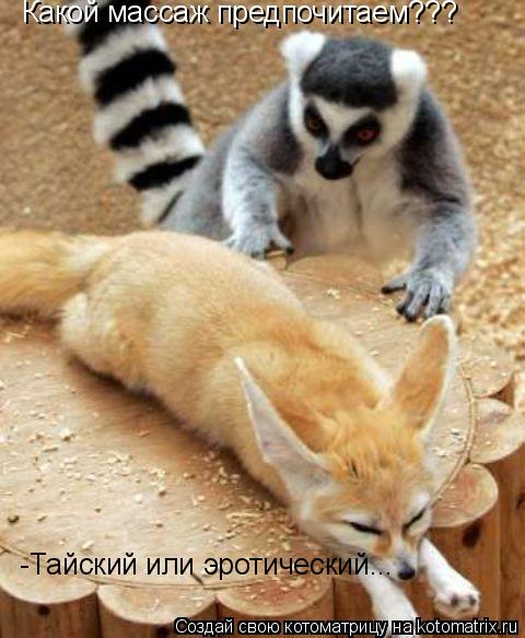 Какой массаж предпочитаем??? -Тайский или эротический...... Котоматрица: Какой массаж предпочитаем??? -Тайский или эротический...