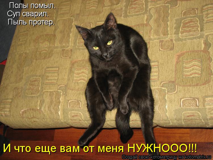 Полы помыл. Суп сварил. Пыль протер. И что еще вам от меня НУЖНООО!!!... Котоматрица: Полы помыл. Суп сварил. Пыль протер. И что еще вам от меня НУЖНООО!!!