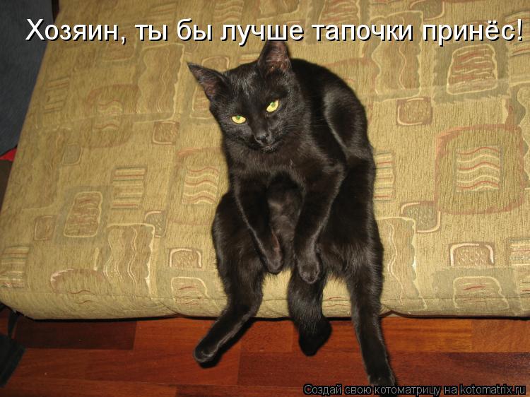 Хозяин, ты бы лучше тапочки принёс!... Котоматрица: Хозяин, ты бы лучше тапочки принёс!
