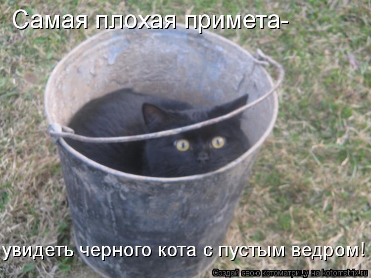Котоматрица: Самая плохая примета- увидеть черного кота с пустым ведром!