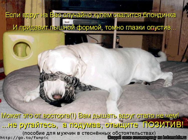 Если вдруг на Вас случайно кулем свалится блондинка И придавит пышной формой, томно глазки опустив...... Котоматрица: Если вдруг на Вас случайно кулем свалится блондинка И придавит пышной формой, томно глазки опустив... Может это от восторга(!) Вам дышать вдр