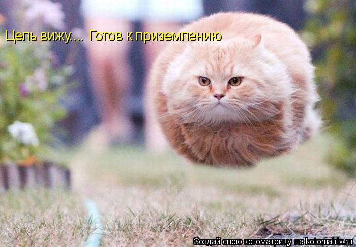 Цель вижу.... Готов к приземлению... Котоматрица: Цель вижу.... Готов к приземлению