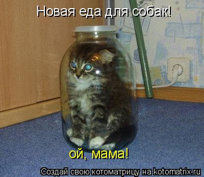Новая еда для собак! ой, мама!... Котоматрица: Новая еда для собак! ой, мама!