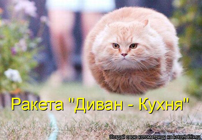 Ракета "Диван - Кухня"... Котоматрица: Ракета "Диван - Кухня"