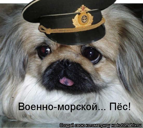 Военно-морской... Пёс!... Котоматрица: Военно-морской... Пёс!
