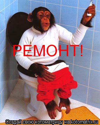 РЕМОНТ!... Котоматрица: РЕМОНТ!